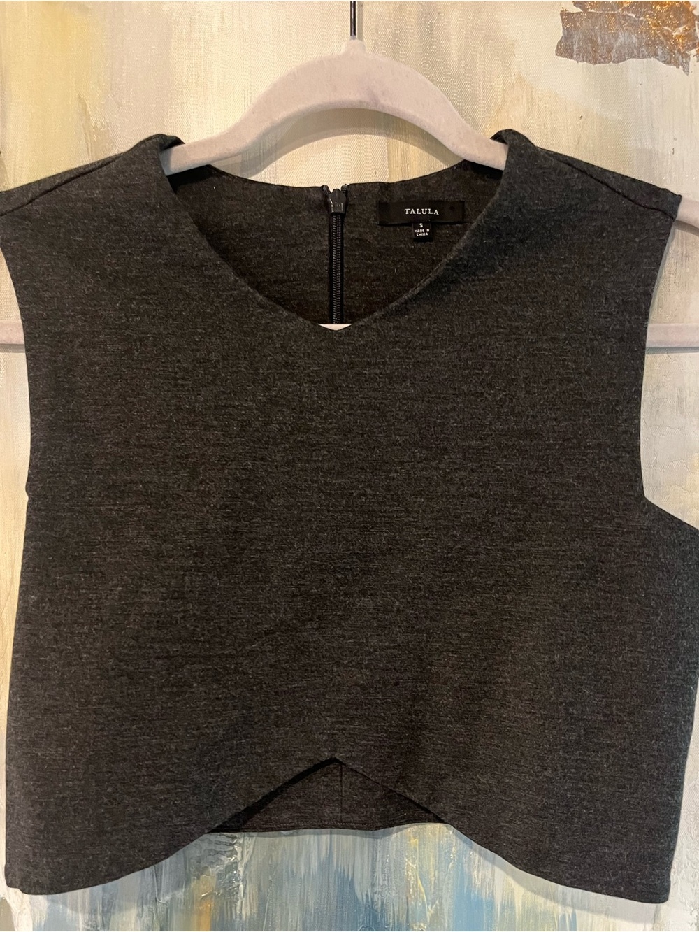 Talula by Aritzia Charcoal Gray Cropped Sleeveless Top Size Small